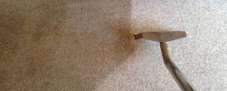 Best End of Lease Carpet Cleaning Hawker
