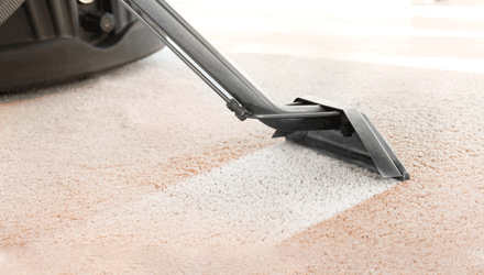 Carpet Sanitisation Services