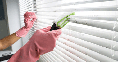 Curtains And Blinds Cleaning Hawker